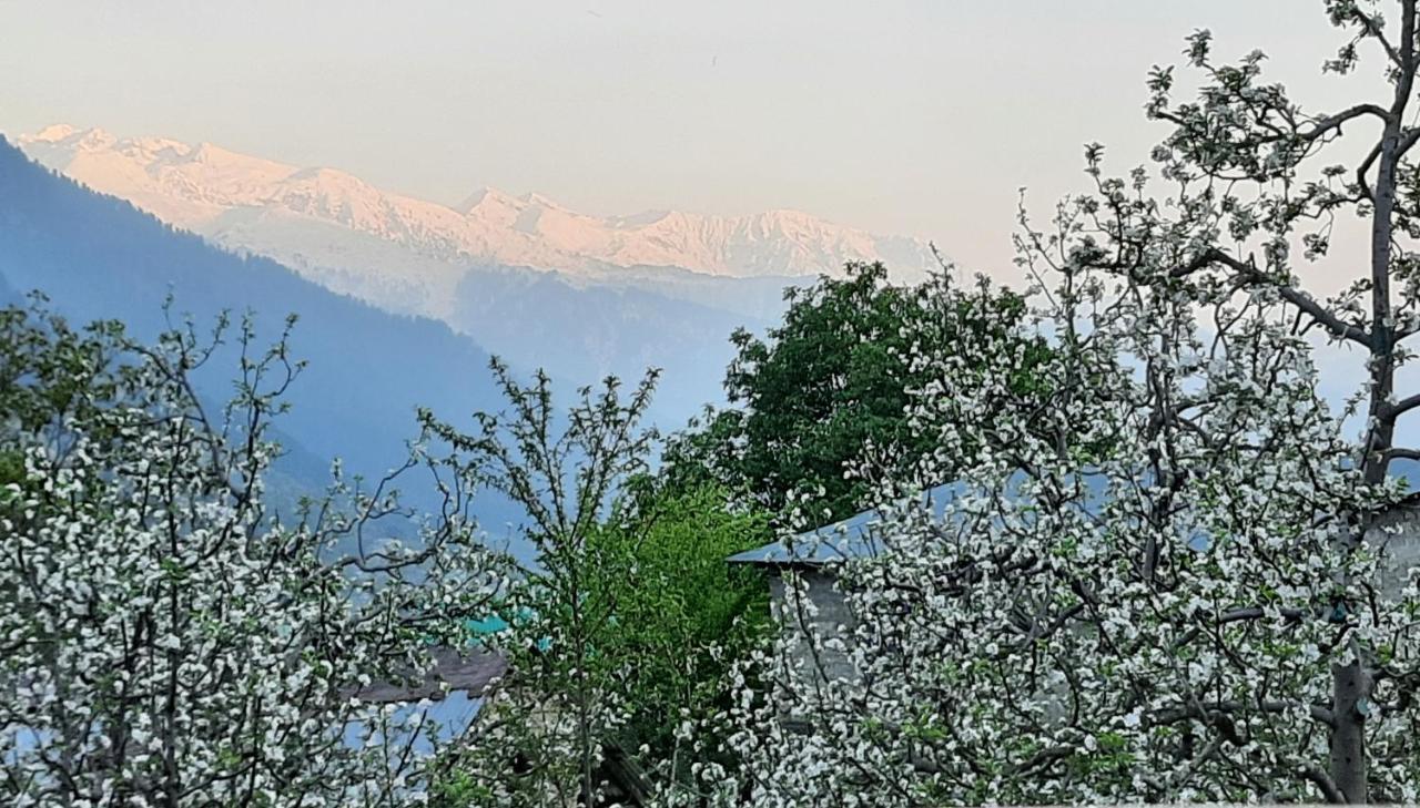 The Heaven'S Retreat Manāli Buitenkant foto