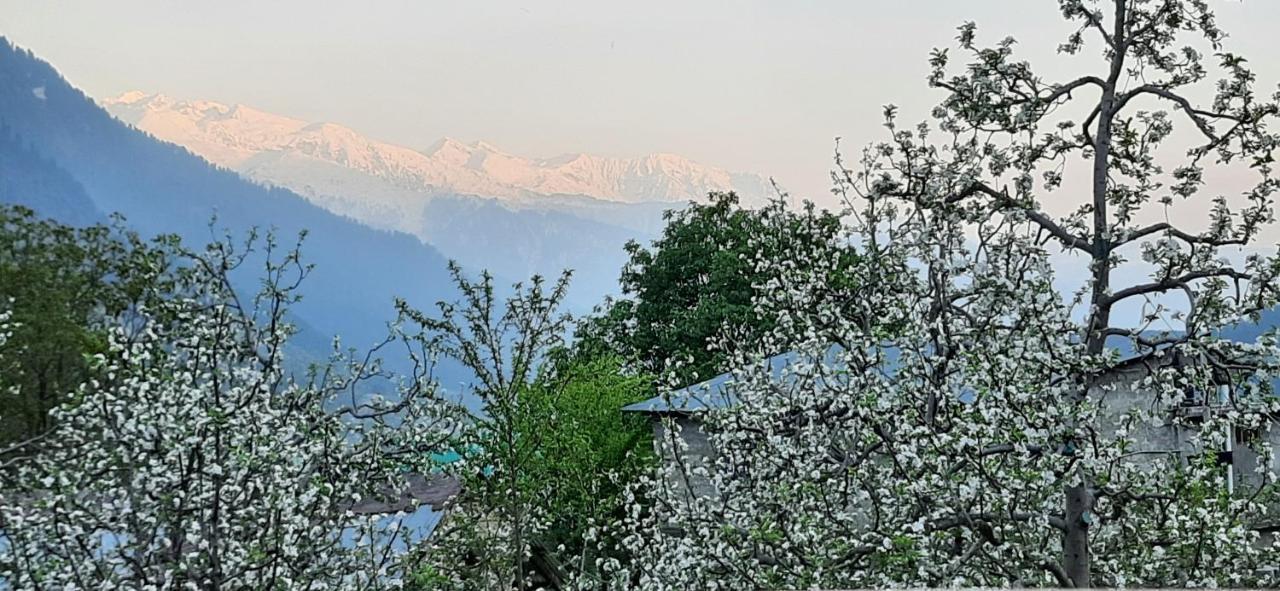 The Heaven'S Retreat Manāli Buitenkant foto